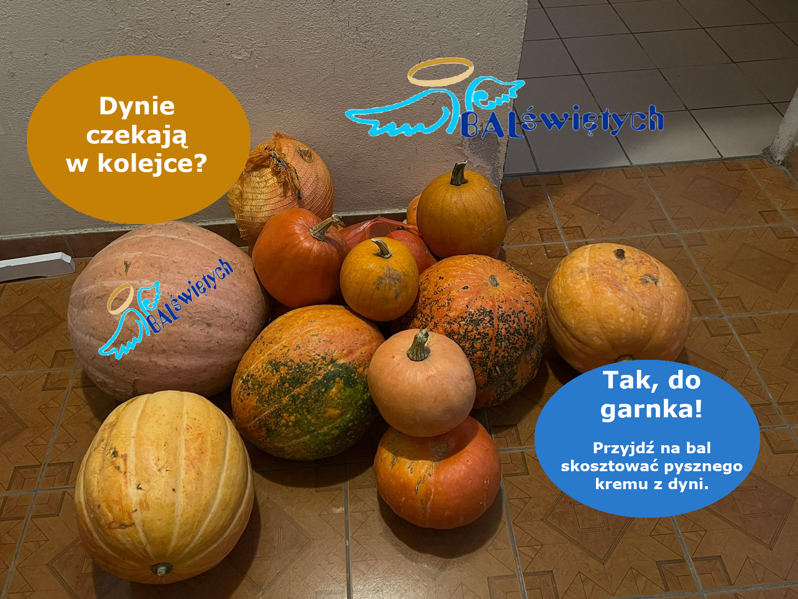 Dynie czekają w kolejce?